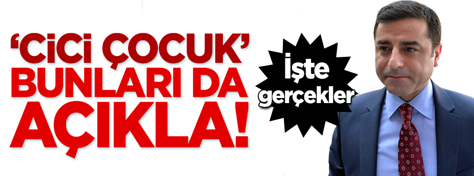 Bunları da açıkla 'cici çocuk' Demirtaş!