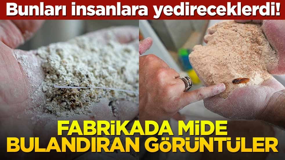 Bunları insanlara yedireceklerdi! Fabrikada mide bulandıran görüntüler