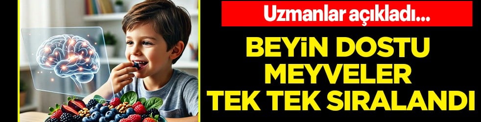 Bunları yiyen zeka küpü oluyor... Uzmanlar tek tek anlattı: Bol bol tüketilmeli! Elma, yaban mersini, muz, üzüm...
