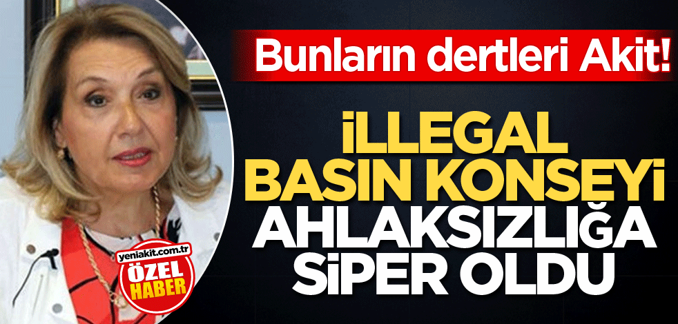 Bunların dertleri Akit! İllegal Basın Konseyi ahlaksızlığa siper oldu