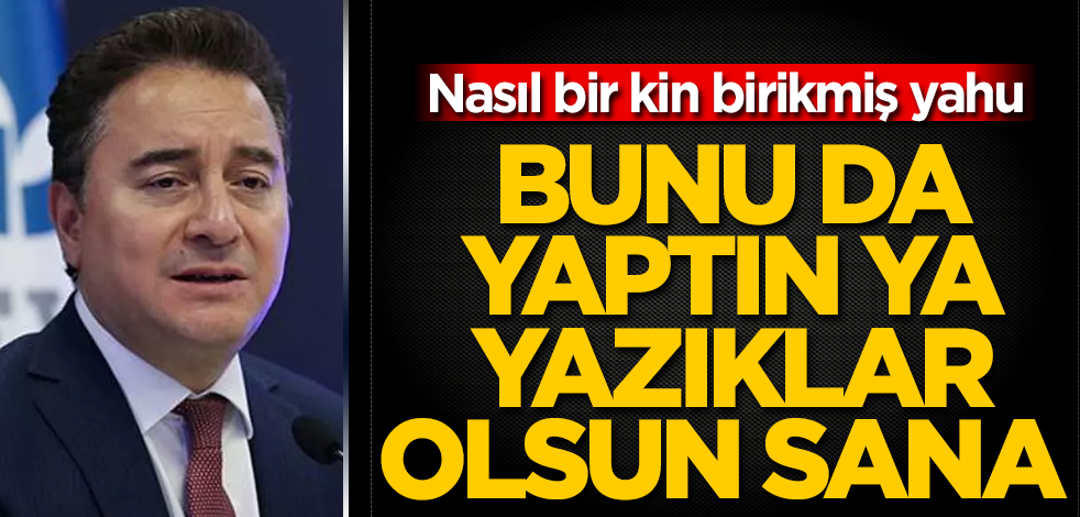Bunu da yaptın ya, yazıklar olsun sana Ali Babacan! Hilal Kaplan, o skandal diyaloğu deşifre etti