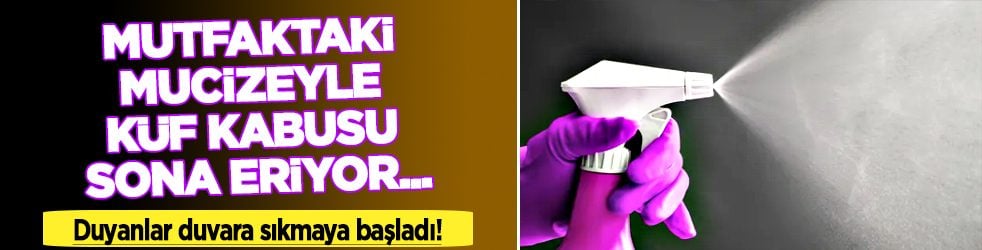 Bunu okuyan herkes duvara sıkmaya başladı! Mutfaktaki mucizeyle küf kabusu...