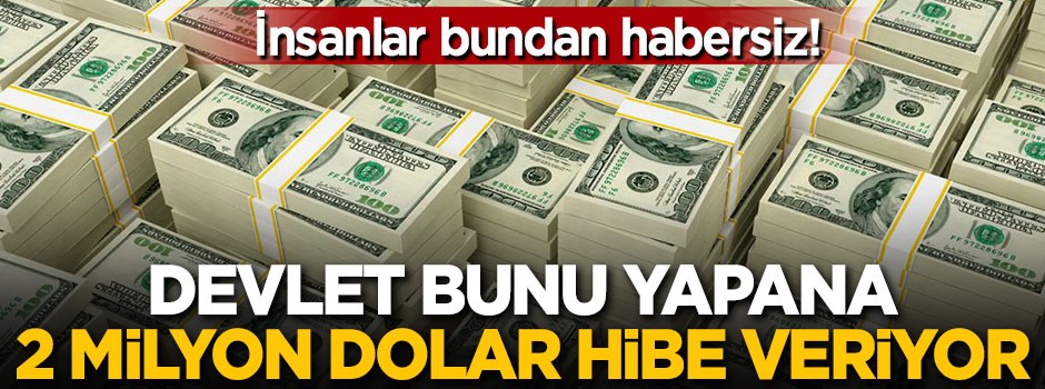 Bunu yapana devlet 2 milyon dolar hibe veriyor