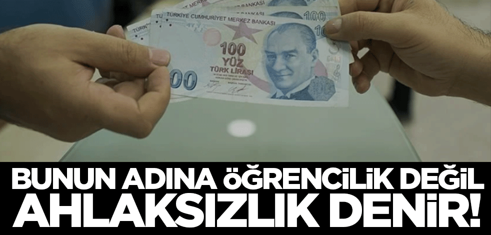 Bunun adına öğrencilik değil ahlaksızlık denir! İmkanlarından yararlandığı devletini Birgün'e böyle karaladı