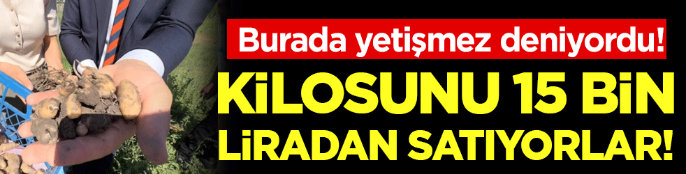 Burada yetişmez deniyordu! Kilosunu 15 bin liradan satıyorlar!