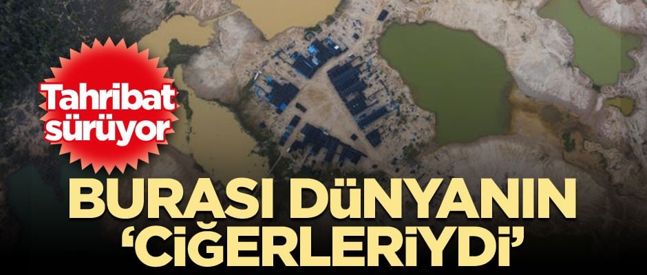 Burası dünyanın ‘ciğerleriydi’ Tahribat sürüyor
