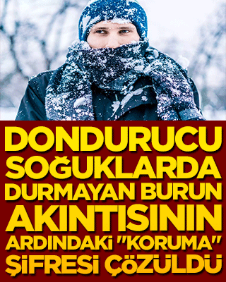 Burnun kış isyanı! Dondurucu soğuklarda durmayan burun akıntısının ardındaki 