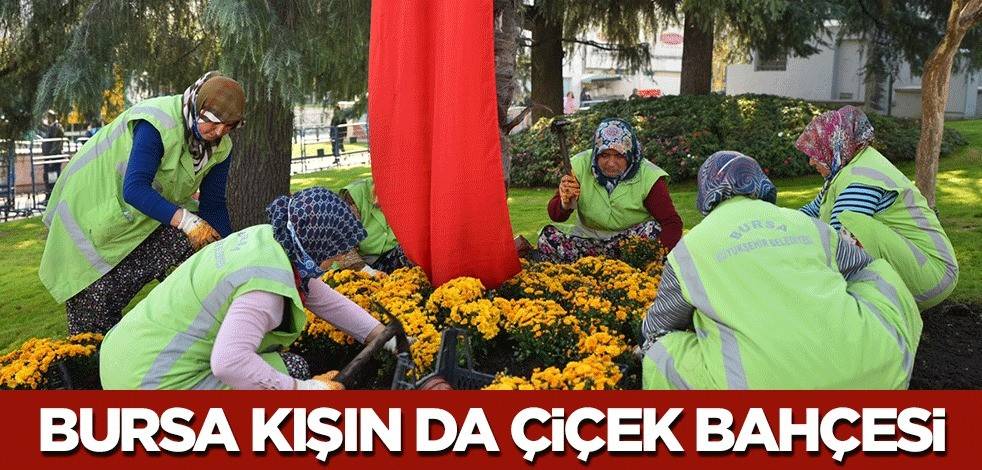 Bursa kışın da çiçek bahçesi