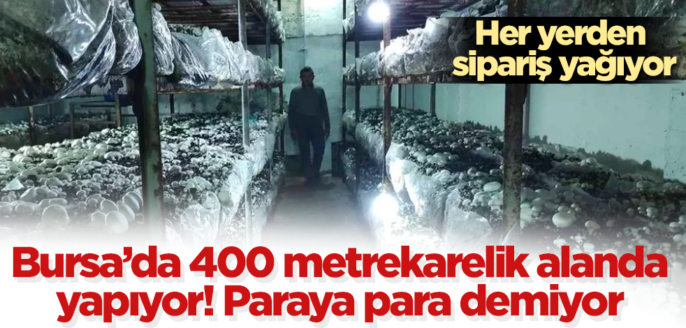 Bursa'da 400 metrekarelik alanda yapıyor! Paraya para demiyor! Her yerden sipariş yağıyor