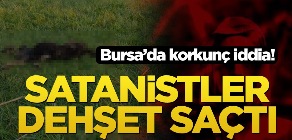 Bursa’da korkunç iddia! Satanistler dehşet saçtı
