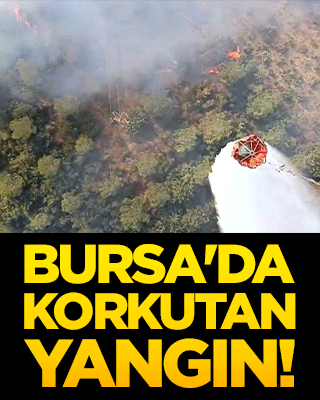 Bursa'da korkutan yangın!