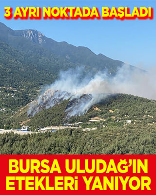 Bursa'da Uludağ'ın eteklerinde aynı anda 3 noktada yangın başladı