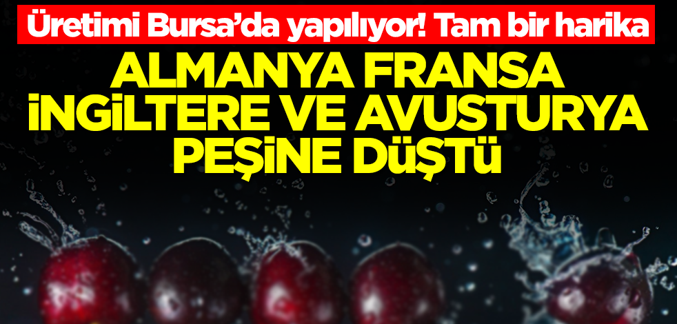 Bursa'da üretiliyor! Almanya, İngiltere, Avusturya ve Fransa tonlarcasını almak için Türkiye'nin kapısını çaldı