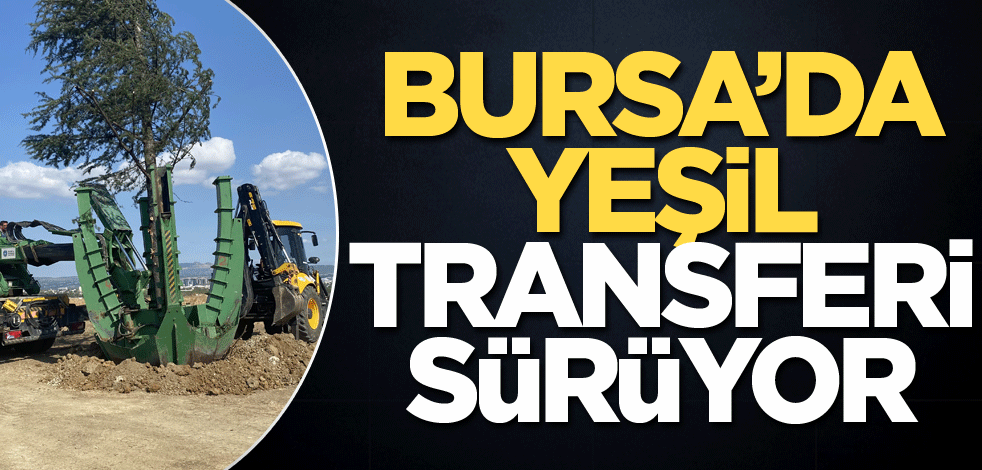Bursa’da yeşil transferi sürüyor