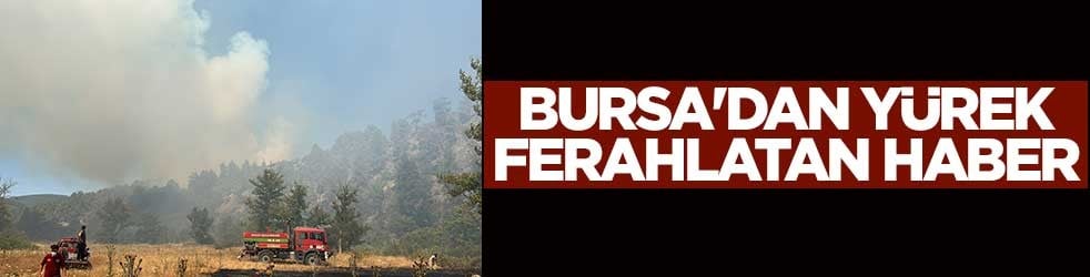 Bursa'dan yürek ferahlatan haber