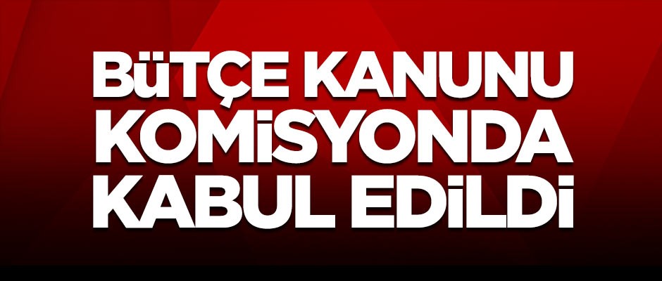 Bütçe kanunu teklifi, komisyonunda kabul edildi