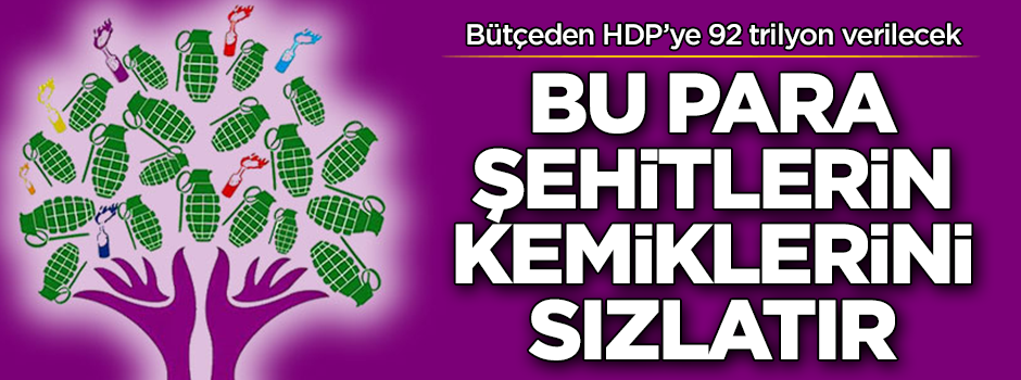 Bütçeden HDP’ye 92 trilyon verilecek! Bu para şehitlerin kemiklerini sızlatır