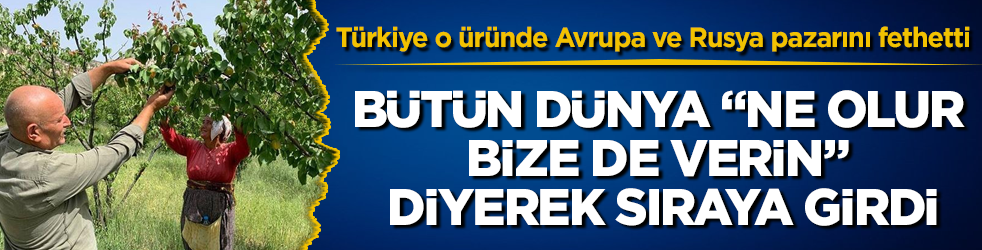 Bütün dünya "Ne olur bize de verin" diyerek sıraya girdi! Türkiye o üründe Avrupa ve Rusya pazarını fethetti