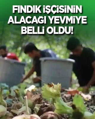 Bütün Karadeniz'in beklediği haber geldi: Fındık işçisinin yevmiyesi belli oldu!