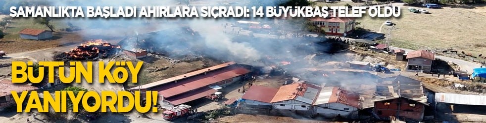 Bütün köy yanıyordu! Samanlıkta başladı ahırlara sıçradı: 14 büyükbaş telef oldu