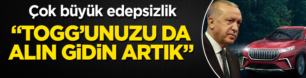 Büyük edepsizlik: 