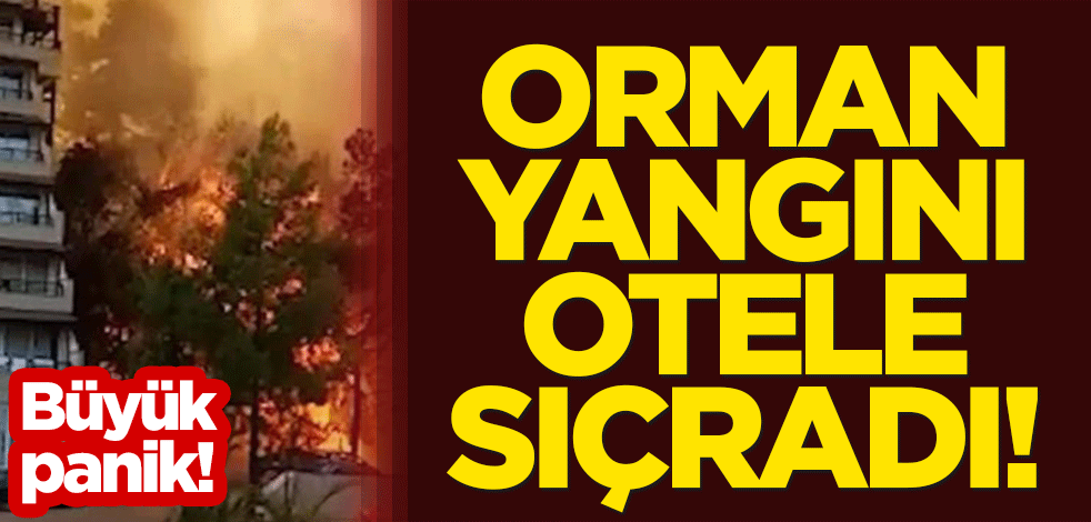 Büyük panik: Marmaris'teki orman yangını otele sıçradı!