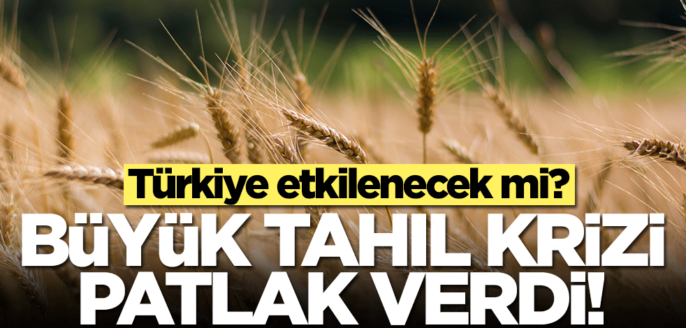 Büyük tahıl krizi patlak verdi! Türkiye etkilecek mi? İşte cevabı...