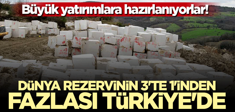 Büyük yatırımlara hazırlanıyorlar... 3'te 1'inden fazlası Türkiye'de!