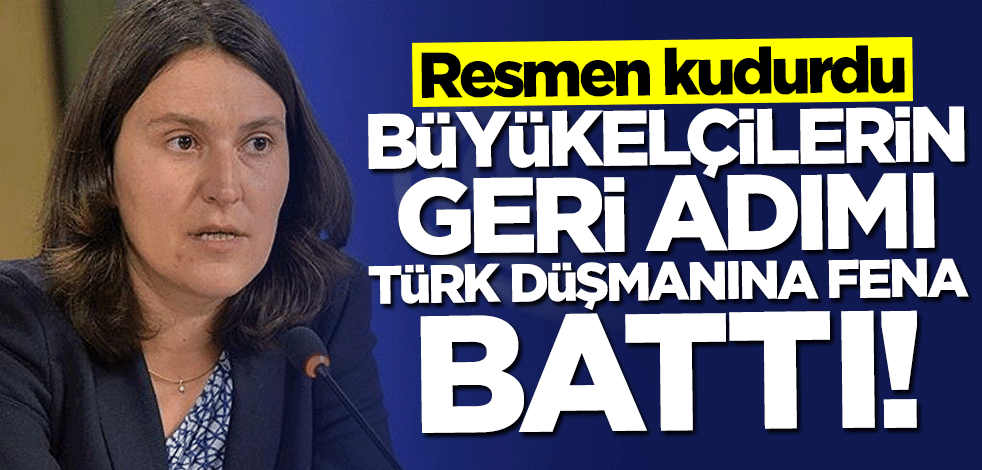 Büyükelçilerin geri adımı Türk düşmanı Kati Piri'ye fena battı