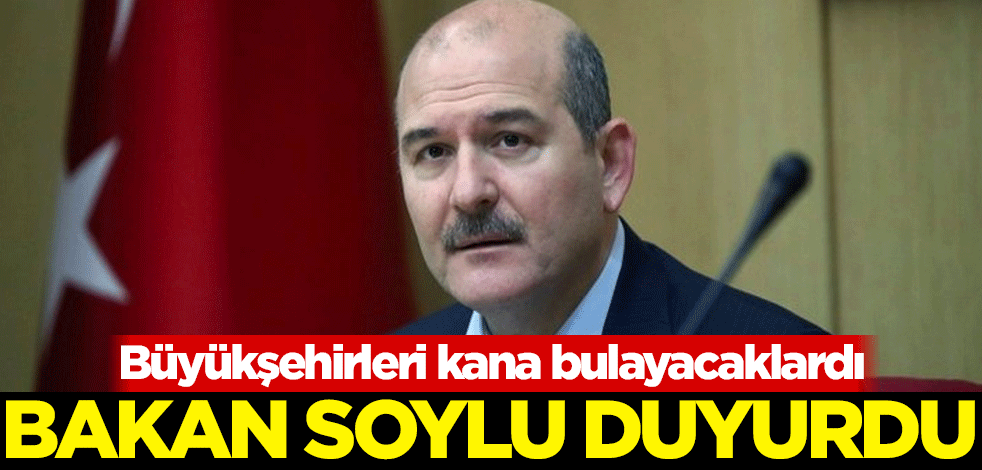 Büyükşehirleri kana bulayacaklardı! Bakan Soylu duyurdu