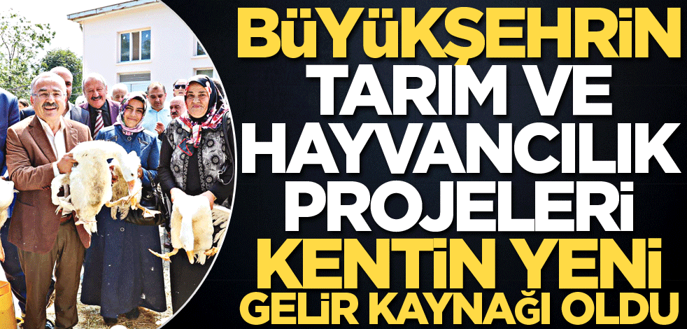 Büyükşehrin tarım ve hayvancılık projeleri kentin yeni gelir kaynağı oldu