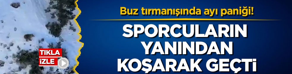 Buz tırmanışında ayı paniği! Sporcuların yanından koşarak geçti