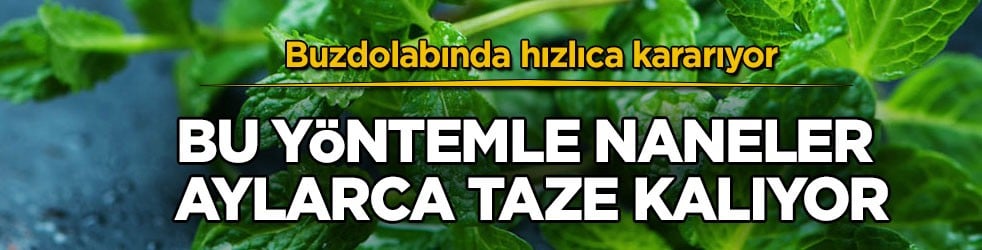 Buzdolabında hızlıca kararıyor! Bu yöntemle naneler aylarca taze kalıyor