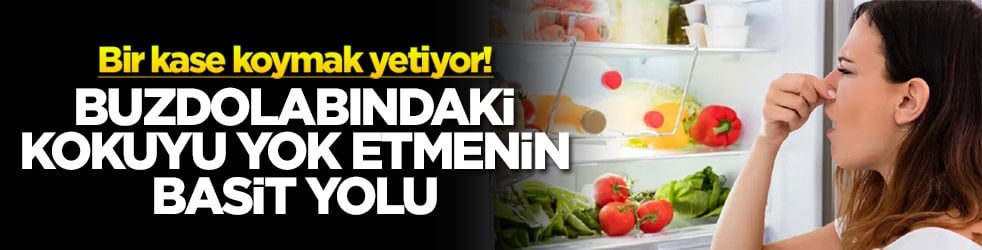 Buzdolabındaki kokuyu yok etmenin basit yolu! 1 kase koymak yetiyor