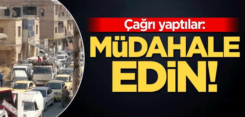 Çağrı yaptılar: Müdahale edin!