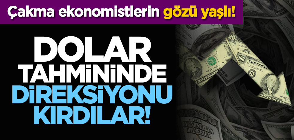 Çakma ekonomistlerin gözü yaşlı! Dolar tahmininde direksiyonu kırdılar!