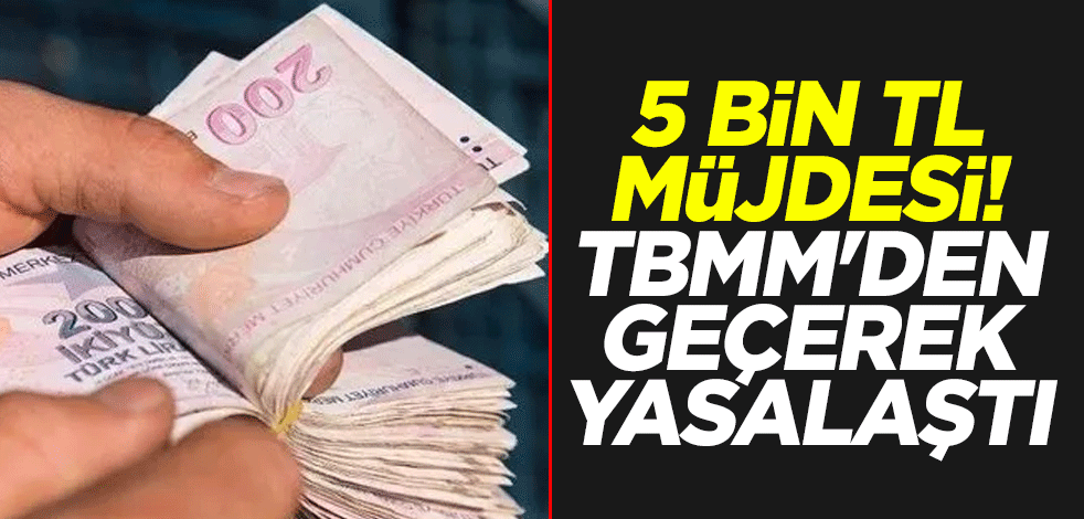 Çalışan emekliye 5 bin TL! TBMM'den geçerek yasalaştı