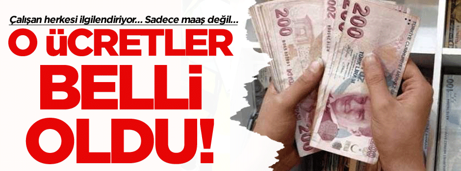 Çalışan herkesi ilgilendiriyor… Sadece maaş değil… O ücretler belli oldu!