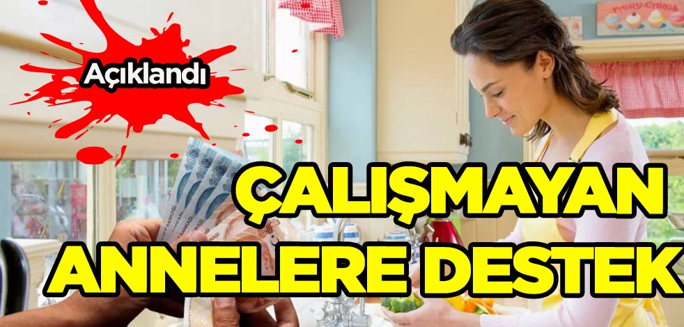Çalışmayan annelere müthiş destek: Çocuk bakımı projesi 1510 lira ödeme! Açıkladı!