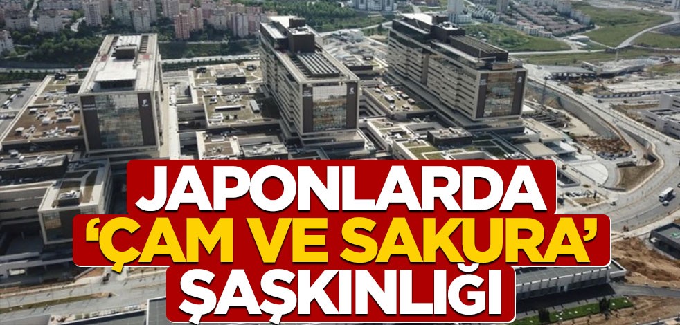 Çam ve Sakura Hastanesi Japon basınında geniş yankı buldu
