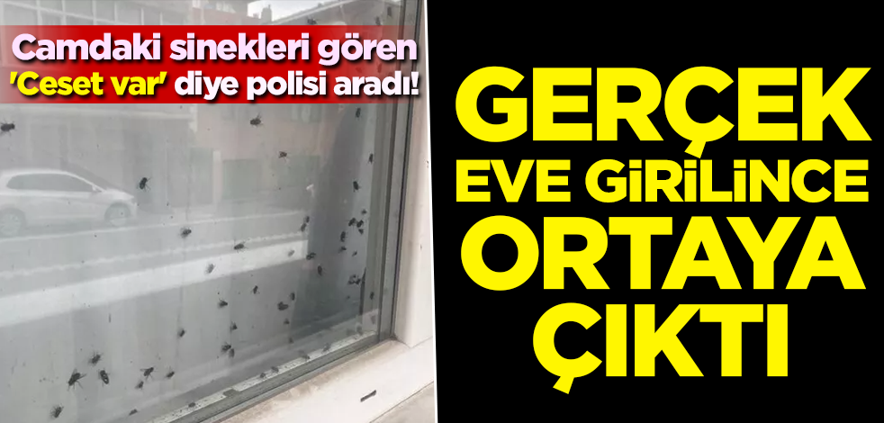 Camdaki sinekleri gören 'Ceset var' diye polisi aradı! Gerçek eve girince ortaya çıktı