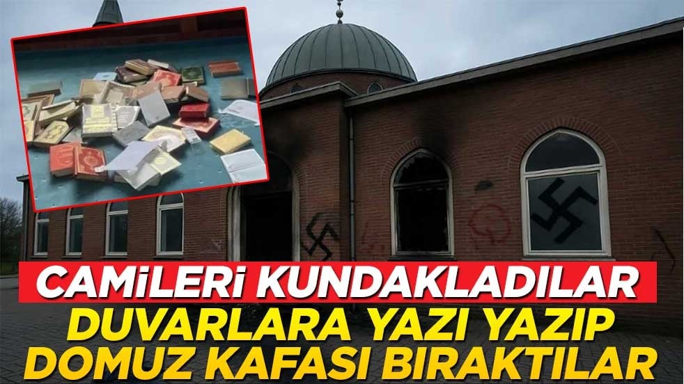Camileri kundakladılar! Duvarlara yazı yazıp domuz kafası bıraktılar