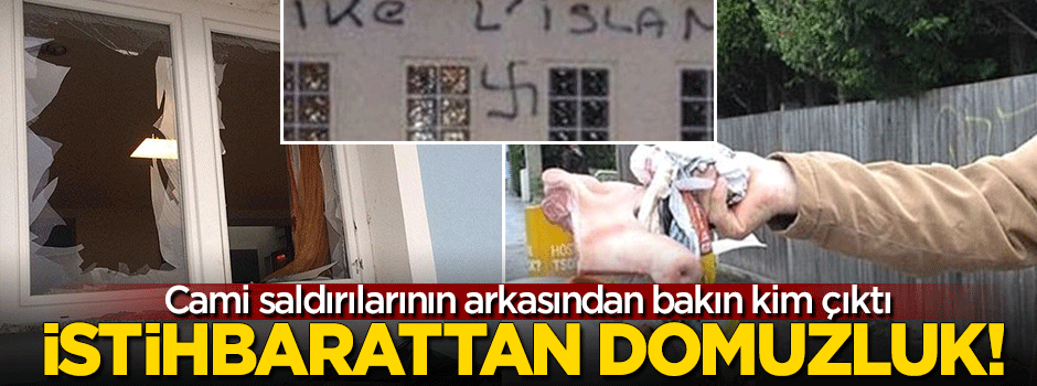 Camiye domuzlu saldırının altından istihbarat çıktı!