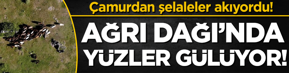 Çamur şelaleleri akıyordu: Ağrı dağında besicilerin yüzü güldü!
