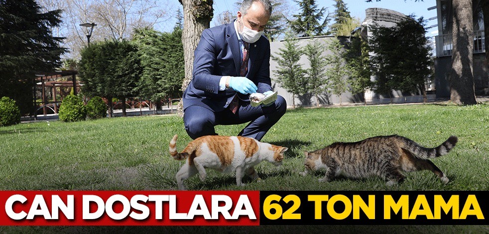 Can dostlara 62 ton mama