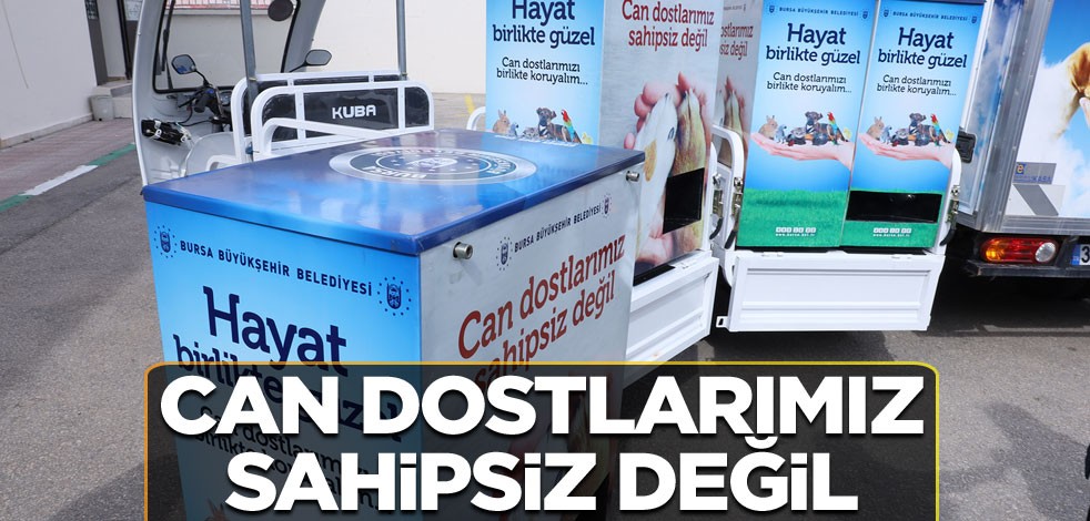 Can dostlarımız sahipsiz değil