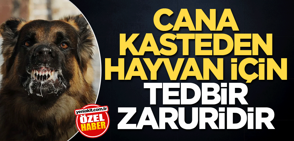 Cana kast eden hayvan için tedbir zaruridir