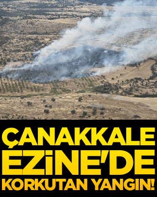 Çanakkale Ezine'de korkutan yangın!