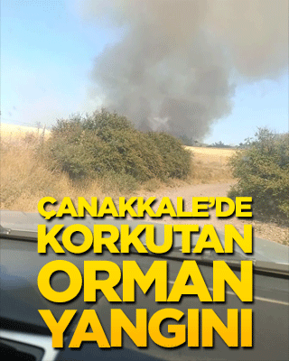 Çanakkale’de korkutan orman yangını!