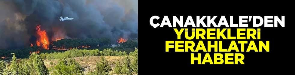 Çanakkale'den yürekleri ferahlatan haber
